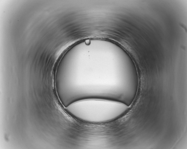 X0000100220838200805300746