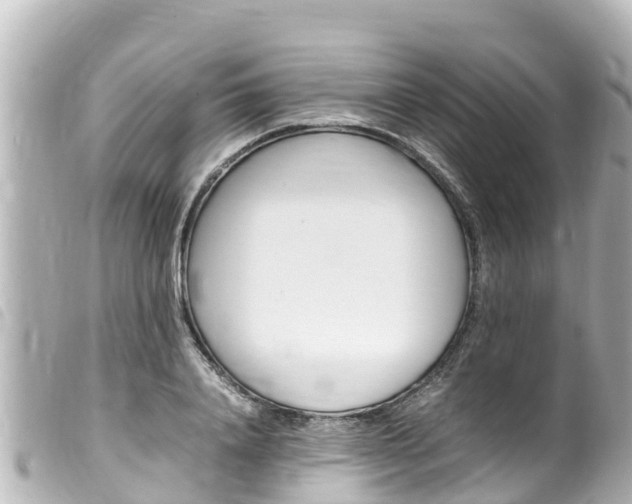 X0000100220840200805300746