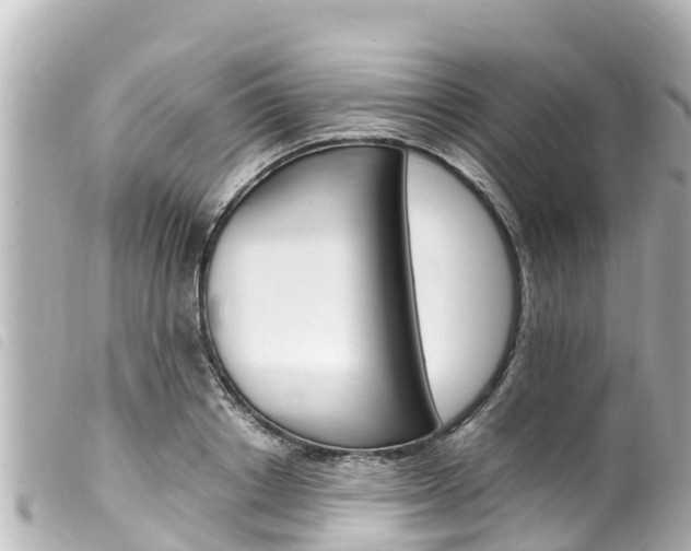 X0000100220842200805300746
