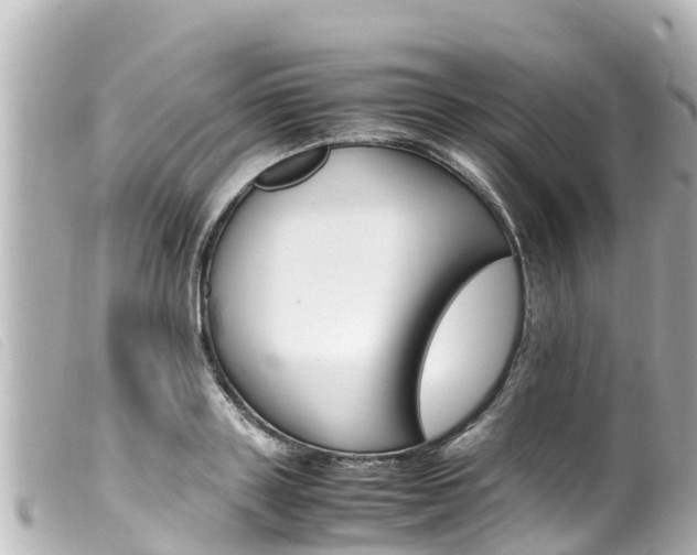 X0000100220843200805300746