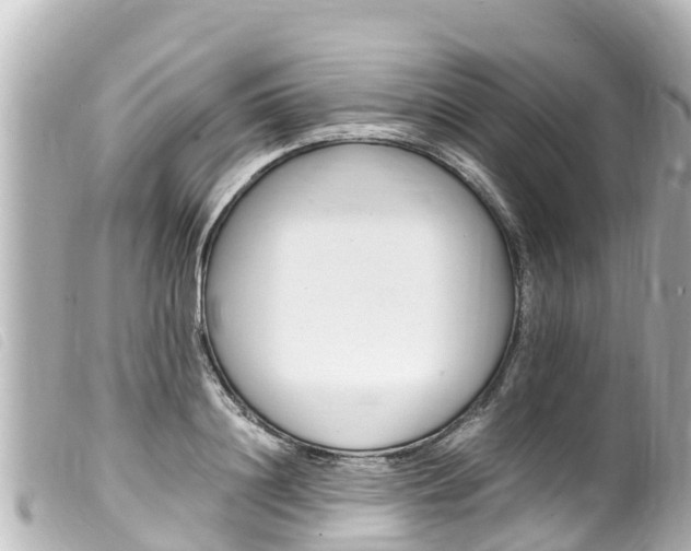 X0000100220844200805300746