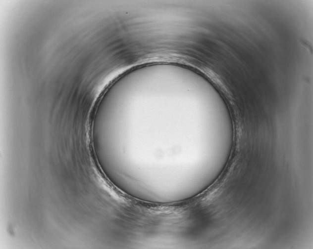 X0000100220846200805300746