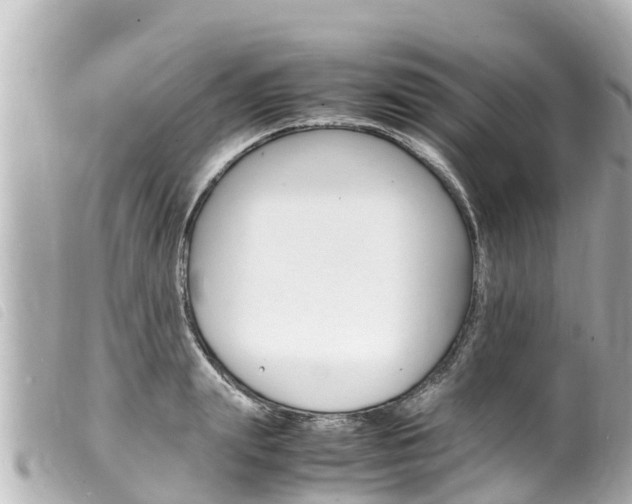 X0000100220847200805300746