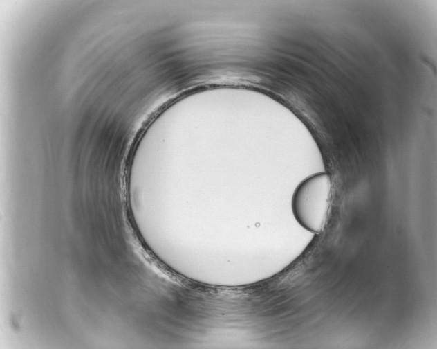X0000100220848200805300746