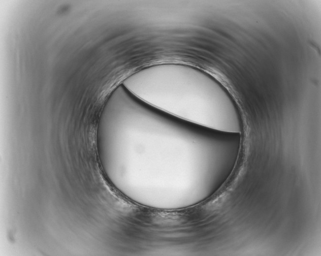 X0000100220849200805300746