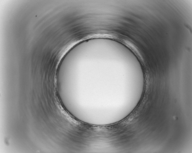 X0000100220852200805300746