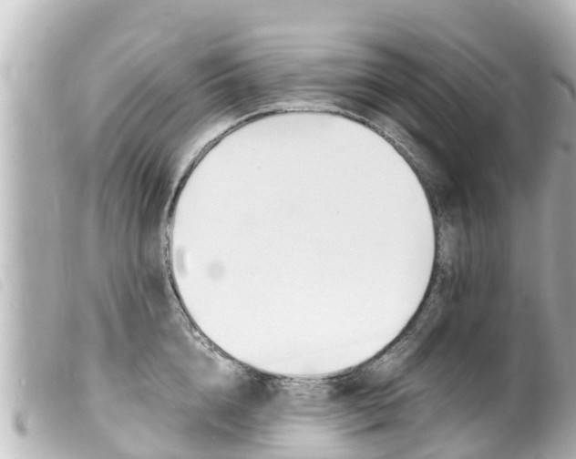 X0000100220856200805300746