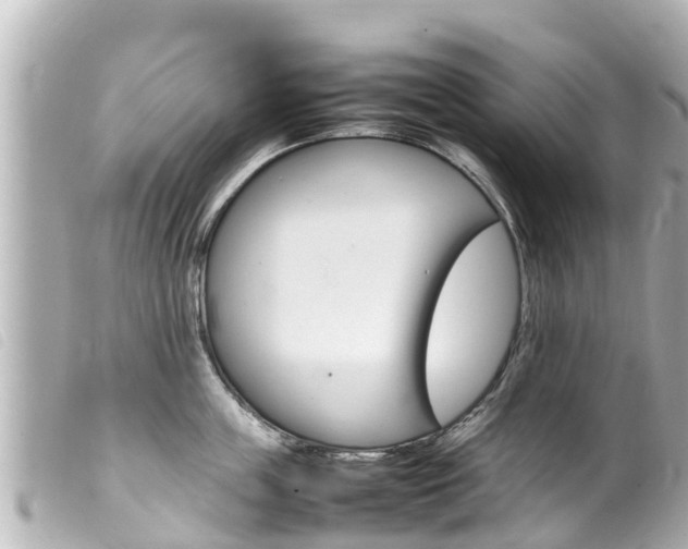 X0000100220859200805300746