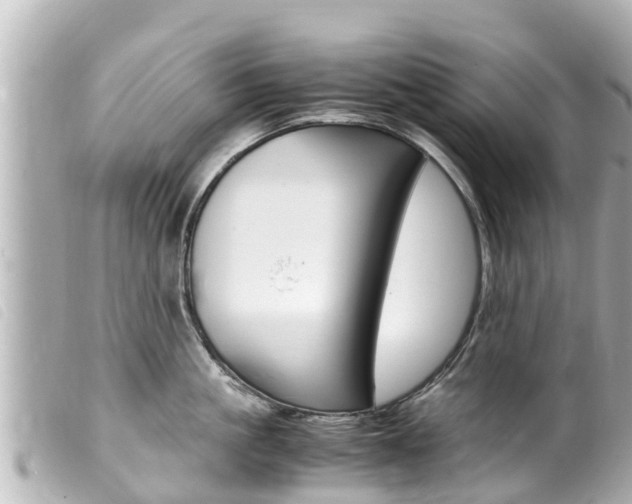 X0000100220861200805300746