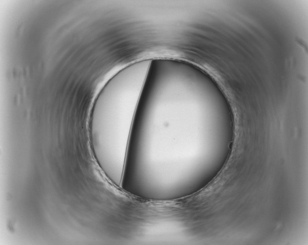 X0000100220864200805300746