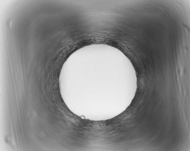 X0000100220865200805300745