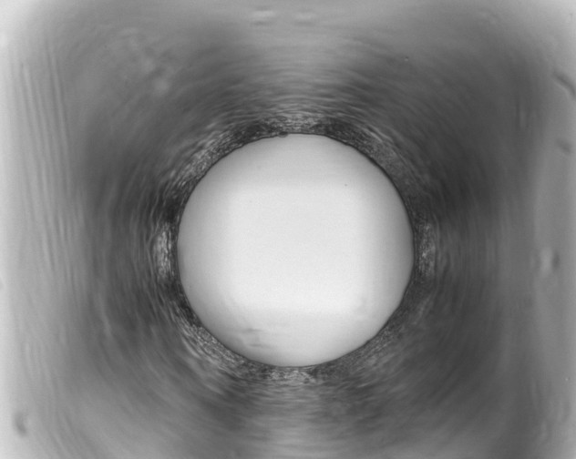 X0000100220866200805300745