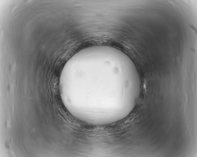 X0000100220867200805300745