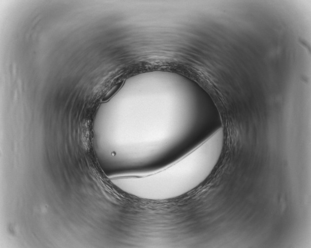 X0000100220868200805300745