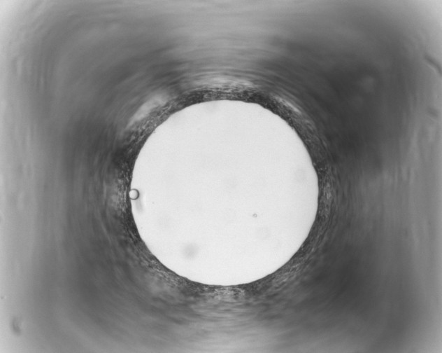 X0000100220869200805300745