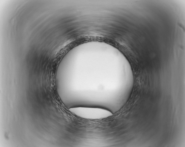 X0000100220870200805300745