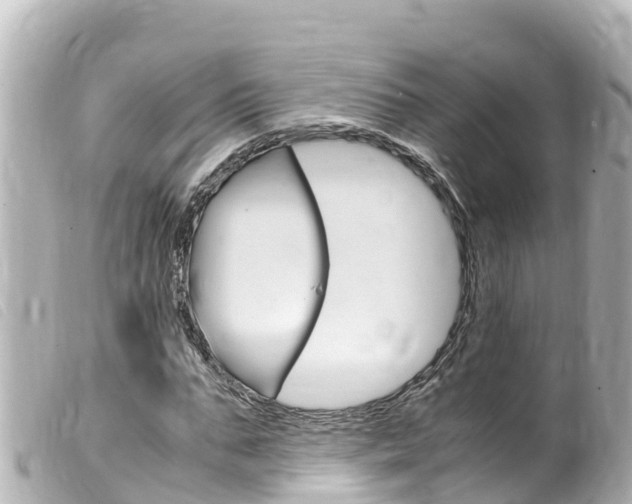 X0000100220871200805300745