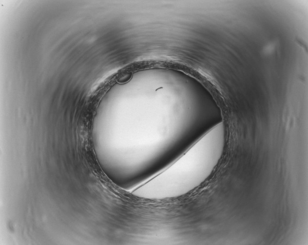 X0000100220872200805300745