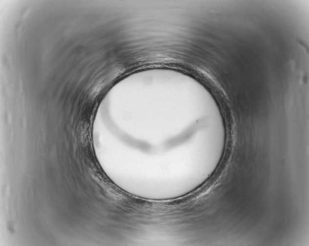 X0000100220873200805300745