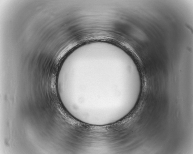 X0000100220874200805300745
