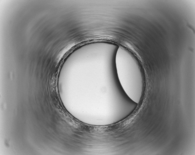 X0000100220875200805300745
