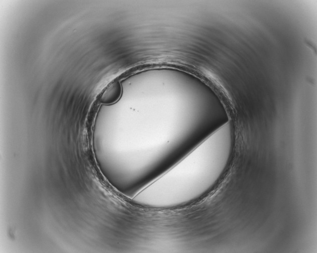 X0000100220876200805300745