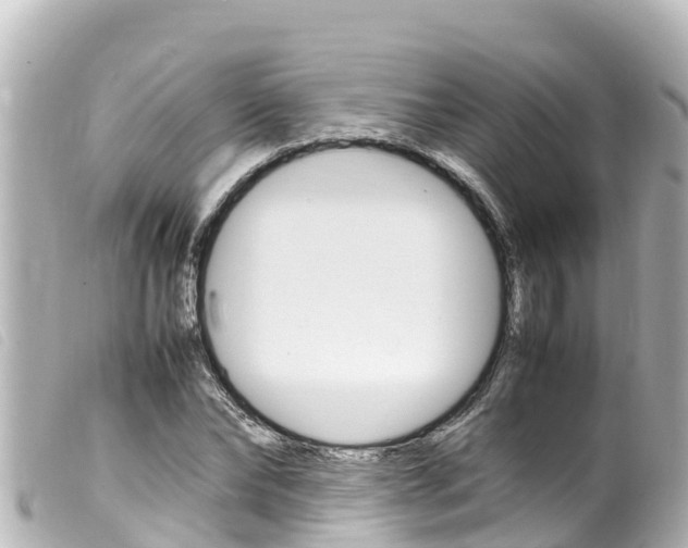 X0000100220878200805300745