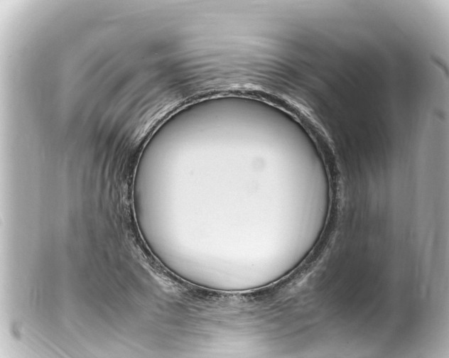X0000100220881200805300745