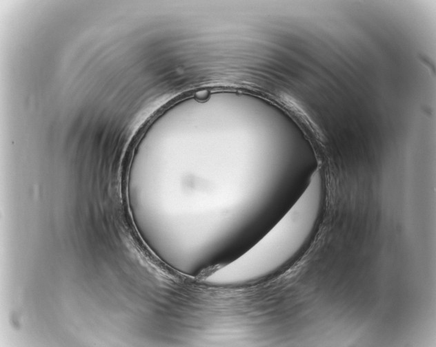 X0000100220884200805300745