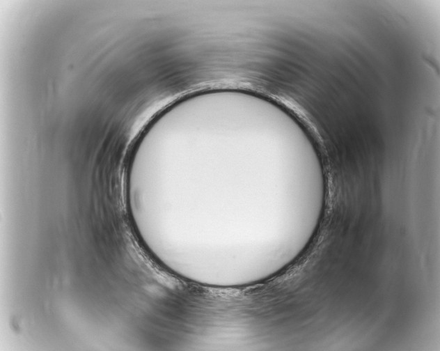 X0000100220886200805300745