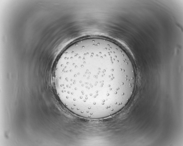 X0000100220887200805300745