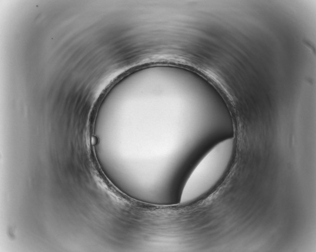 X0000100220888200805300745