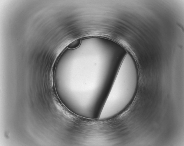 X0000100220892200805300745