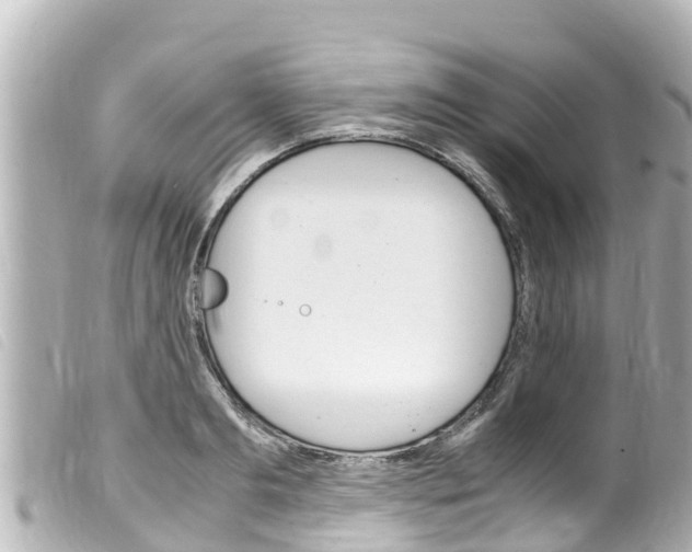 X0000100220893200805300745