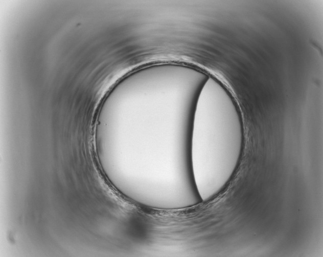 X0000100220895200805300745