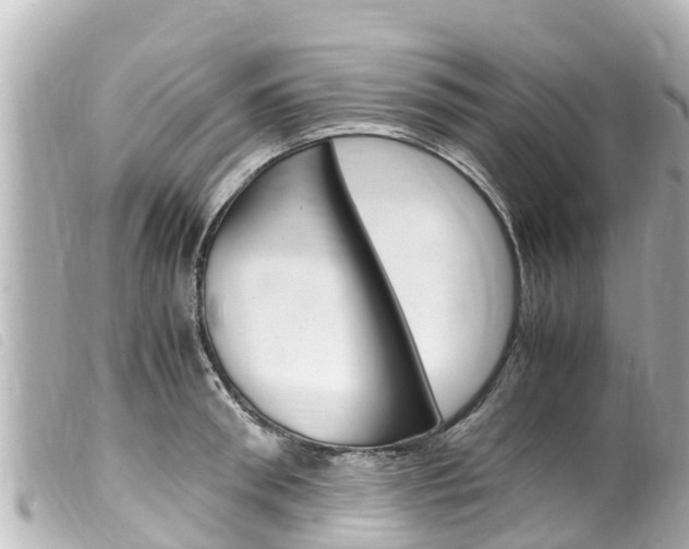 X0000100220898200805300745