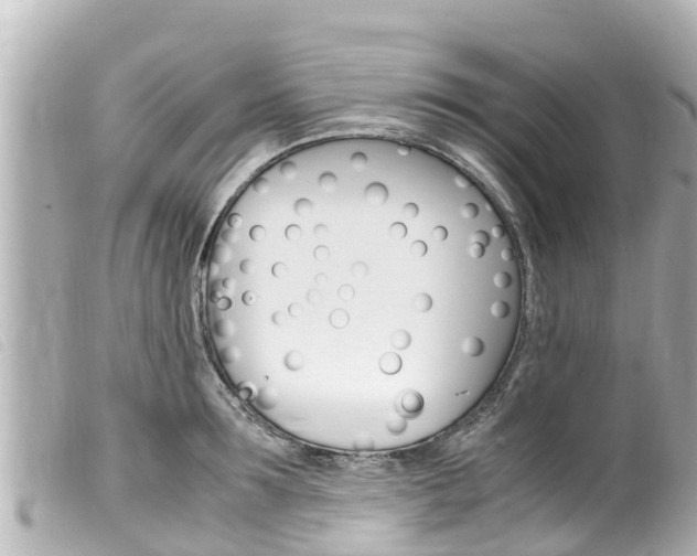 X0000100220899200805300745