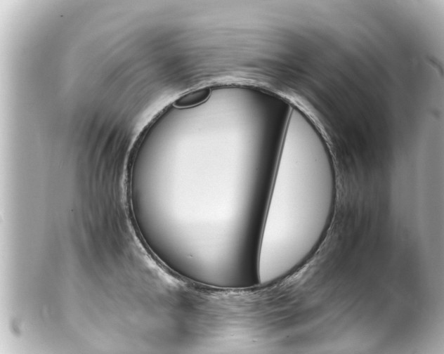 X0000100220902200805300745