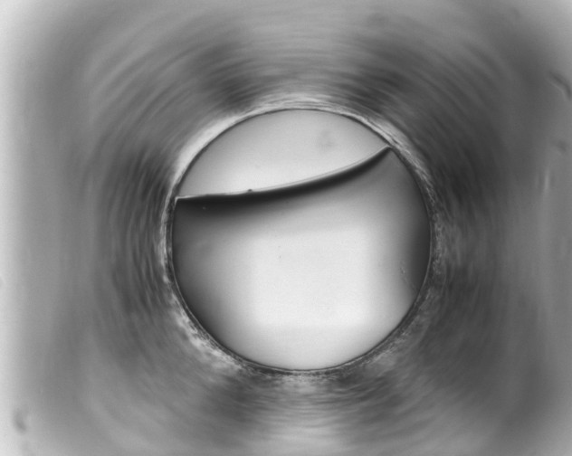 X0000100220904200805300745