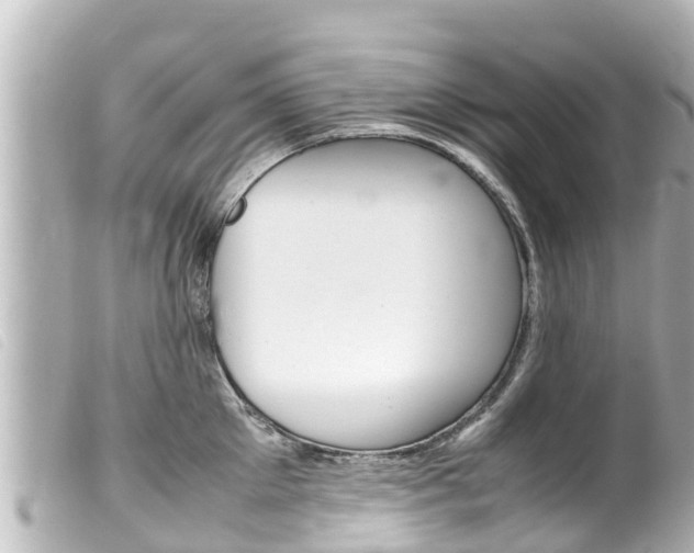 X0000100220905200805300745