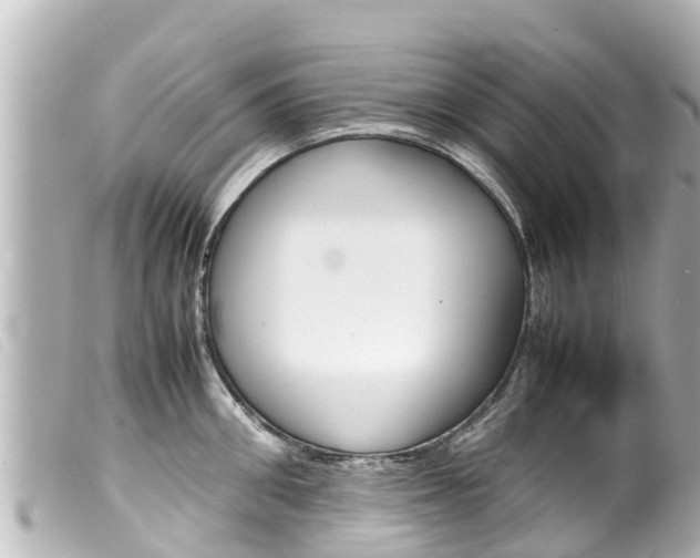 X0000100220906200805300745