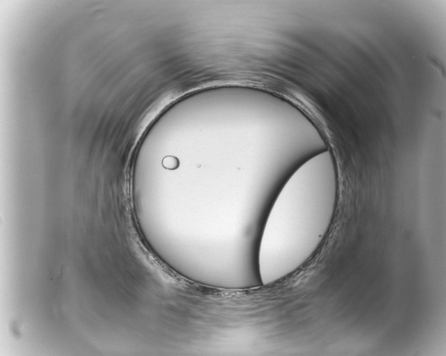 X0000100220907200805300745