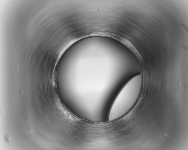 X0000100220908200805300745