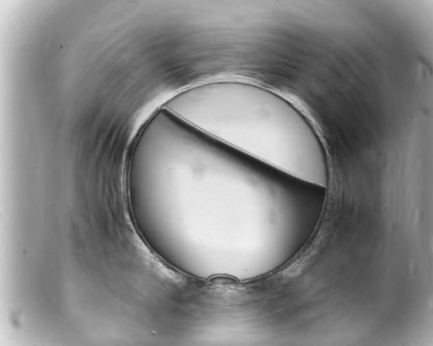 X0000100220910200805300745