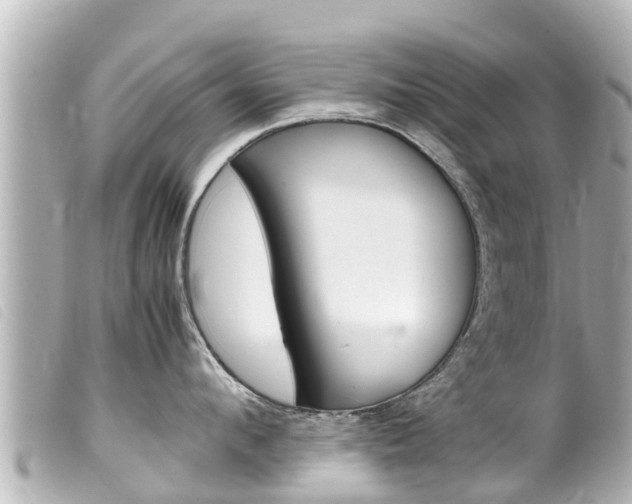 X0000100220912200805300745