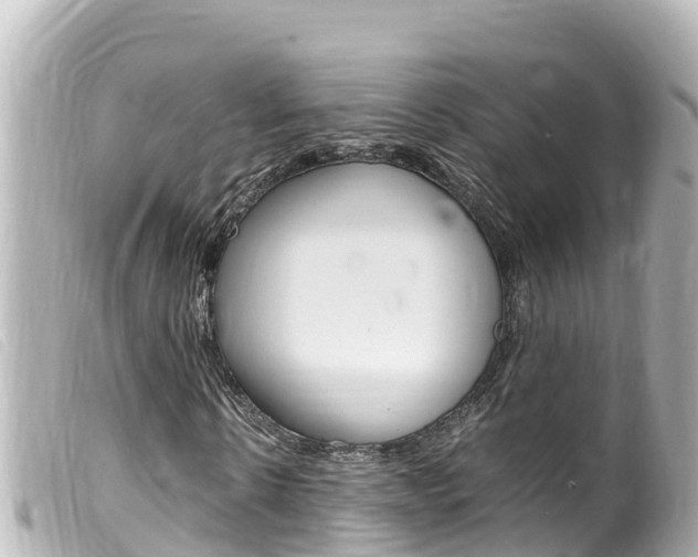 X0000100220914200805300744