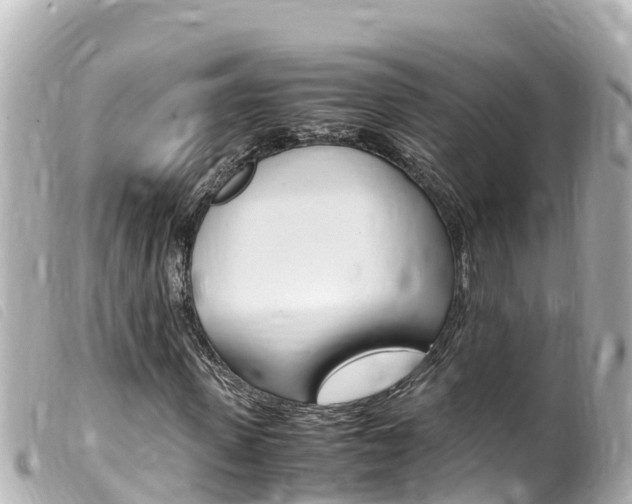 X0000100220915200805300744