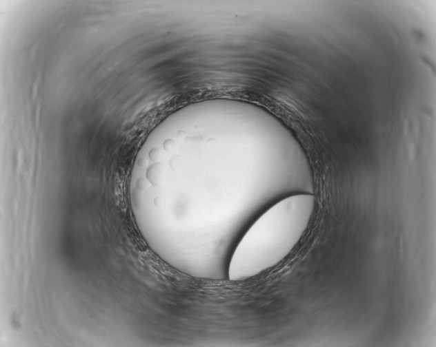 X0000100220917200805300744