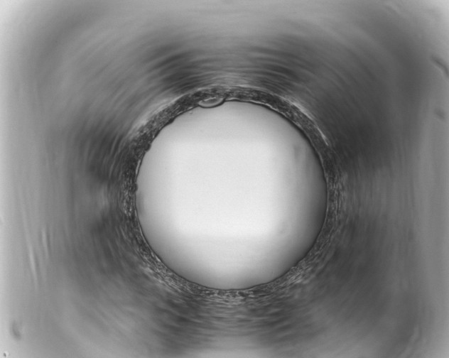X0000100220919200805300744