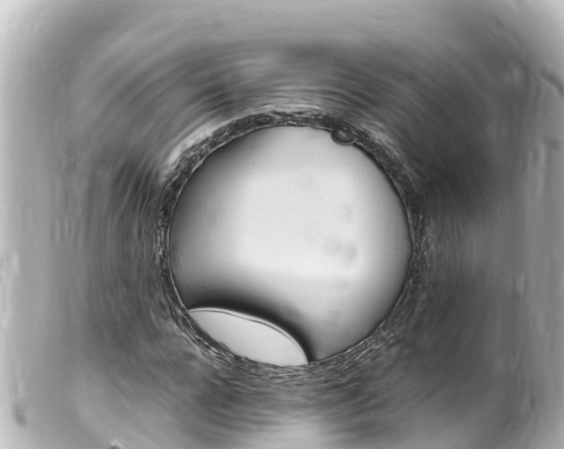 X0000100220920200805300744